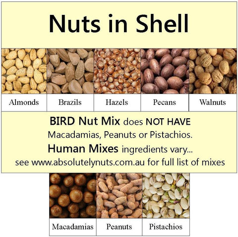 Mixed Nuts IN SHELL HUMAN MIX
