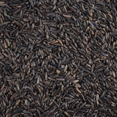 Seed Niger