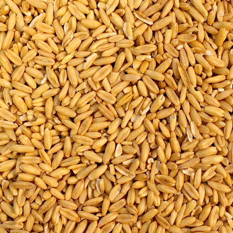 Seed Oats Hulled