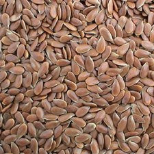 Seed Linseed Flax